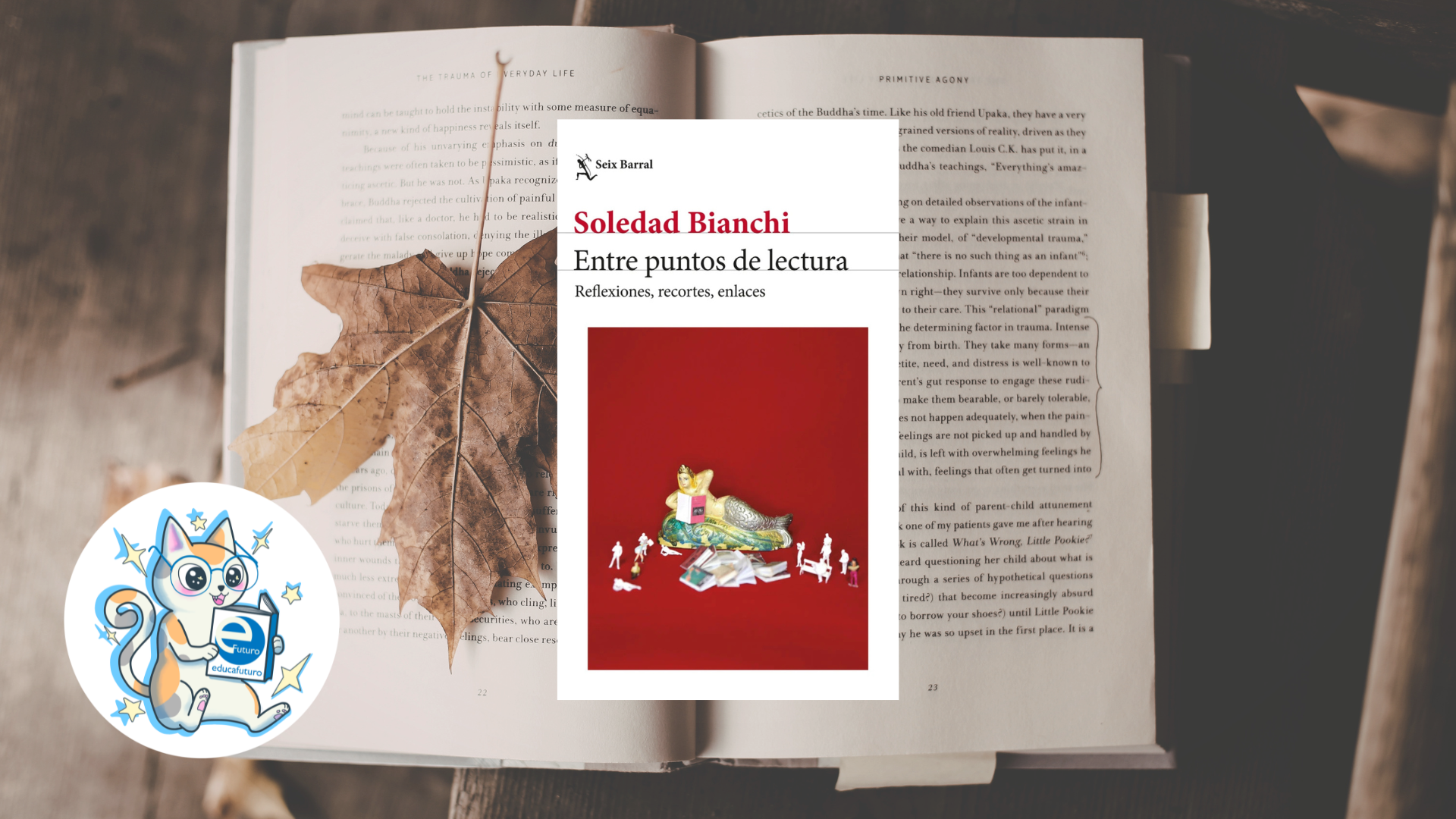 Reseña: Entre puntos de lectura                        